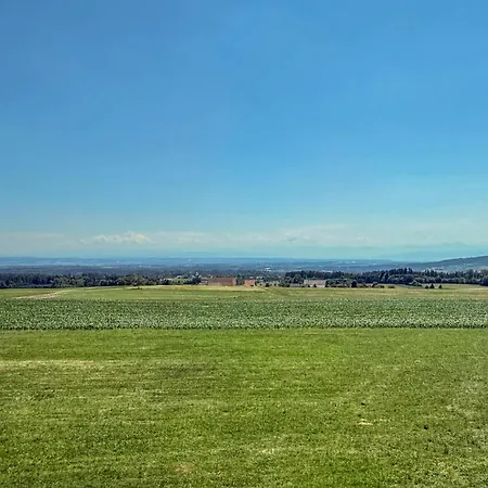 Bodensee Appartement *